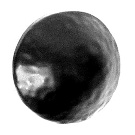 Acorn Mfg Acorn CL1BP Round Decorative Clavos - Black CL1BP